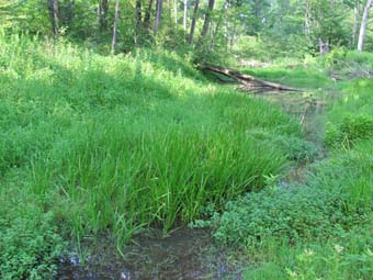 community photo